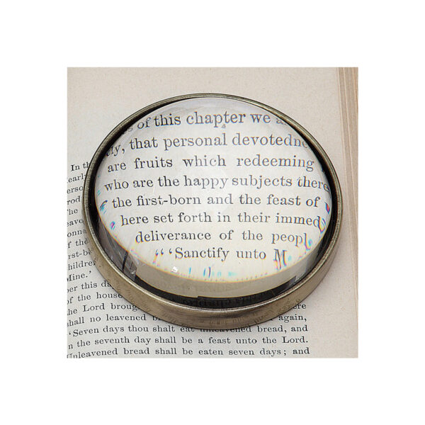 Magnifying Glass - Image 3
